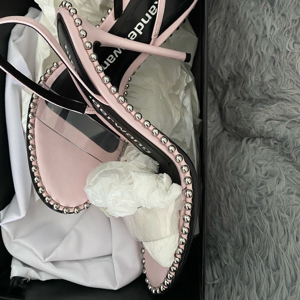 Alexander wang heels